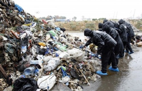 464177_img650x420_img650x420_crop